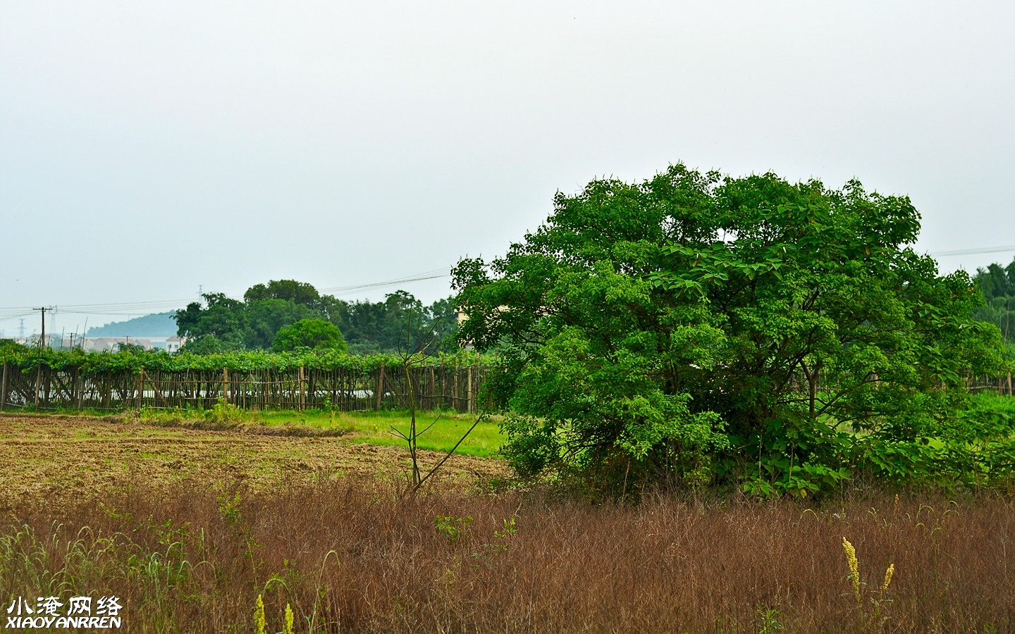 DSC_8730.jpg