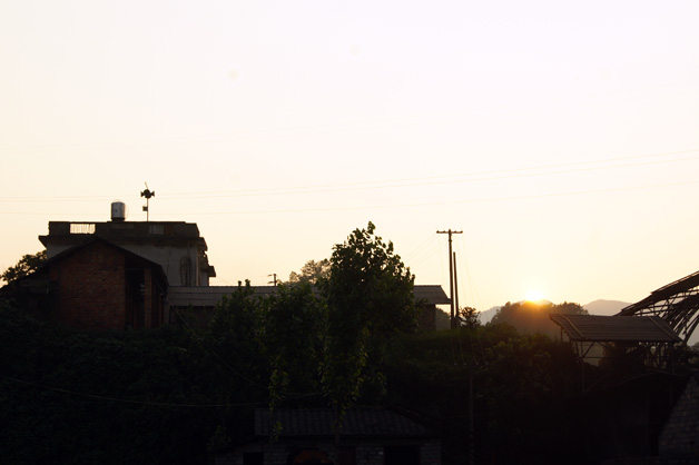 95.jpg