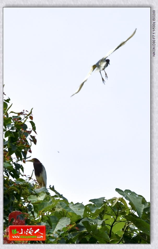 DSC_0131.jpg