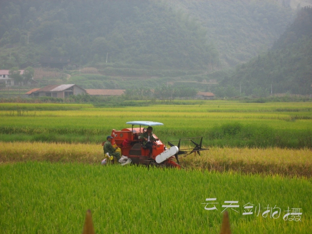 IMG_4130_conew1.jpg