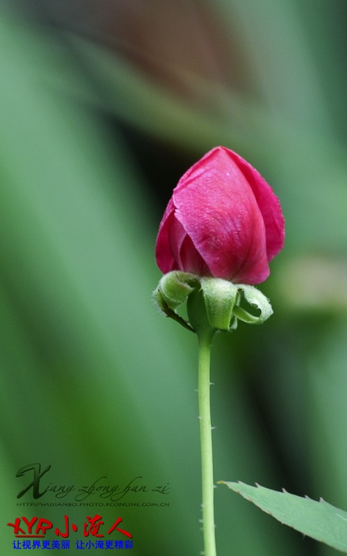 DSC_4787.jpg