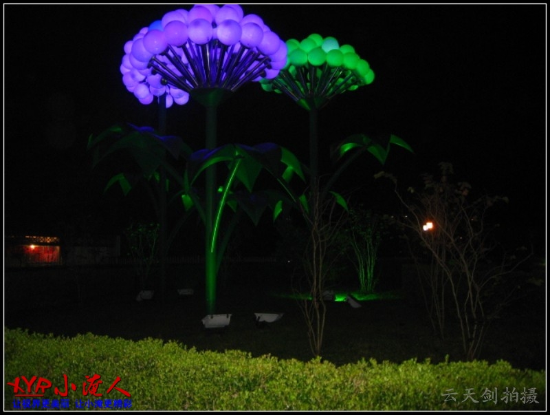 conew_img_5521.jpg