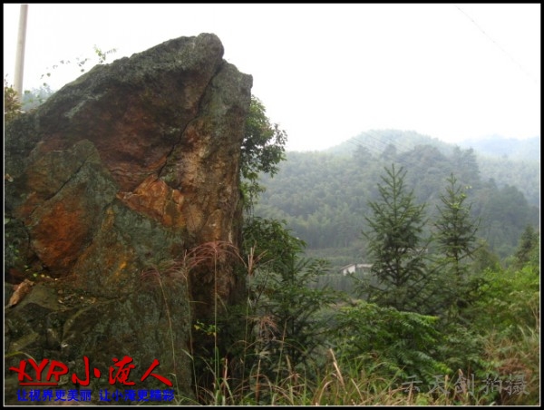 conew_img_5658.jpg