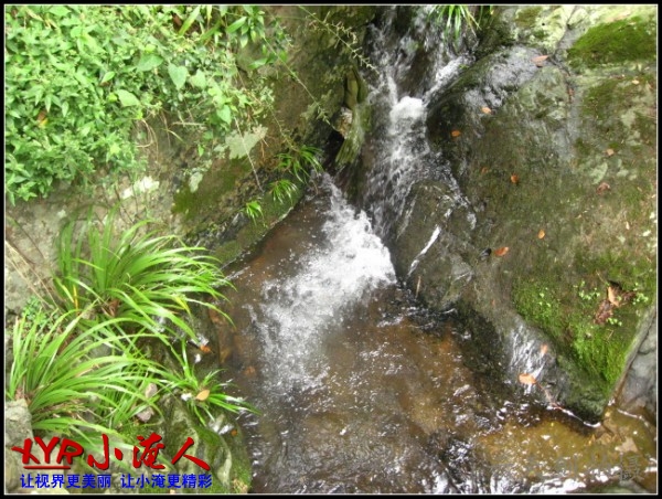 conew_img_5676.jpg