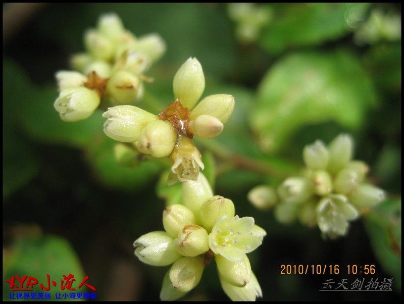 conew_img_5618.jpg