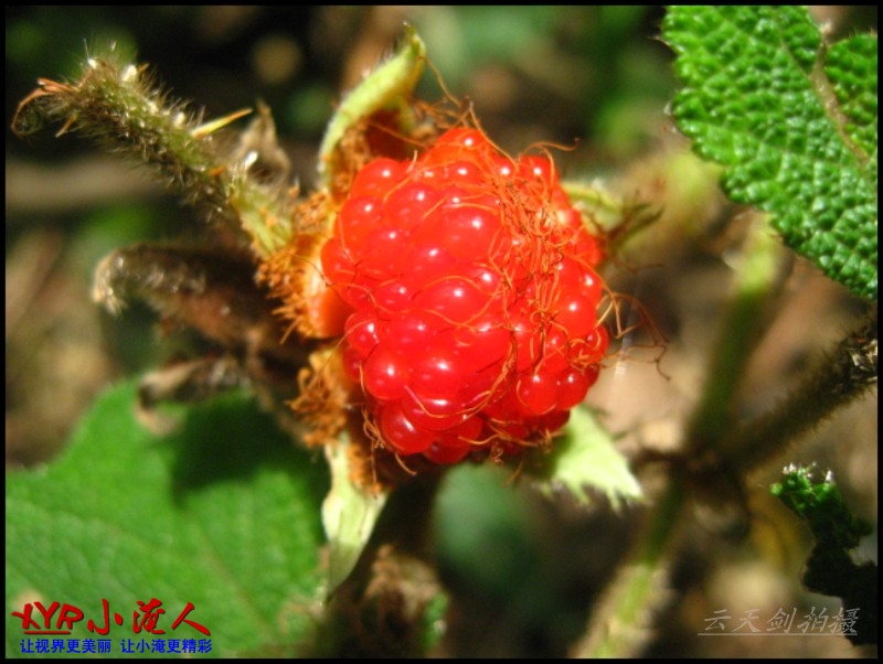 conew_img_5631.jpg