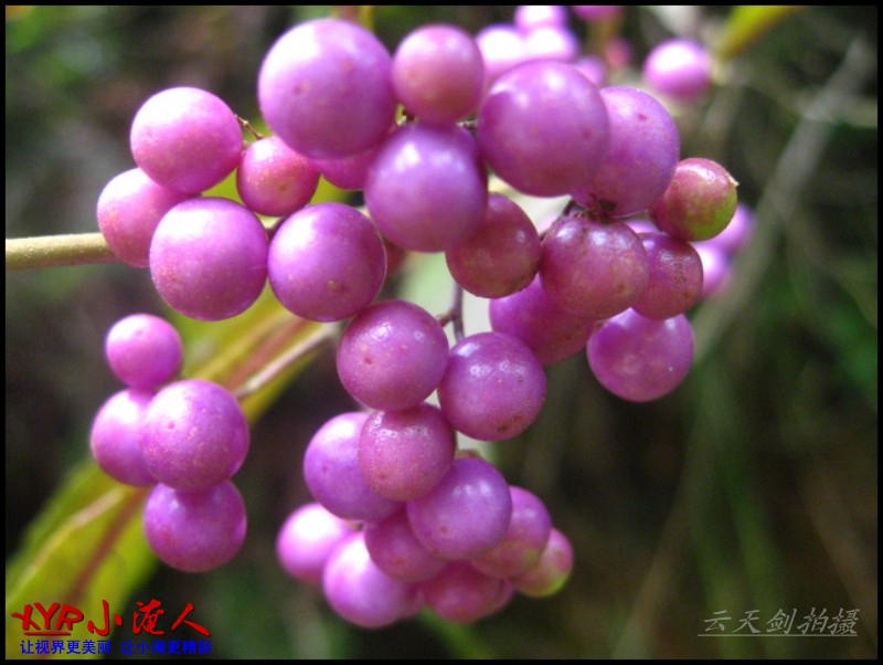 conew_img_5633.jpg