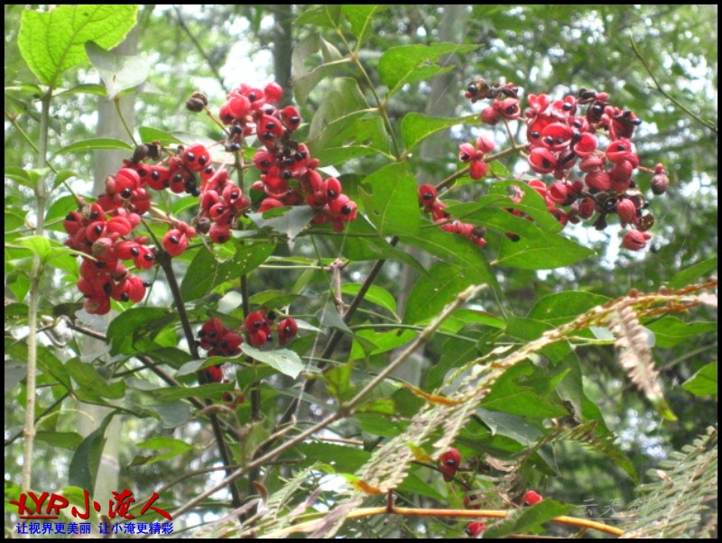 conew_img_5635.jpg