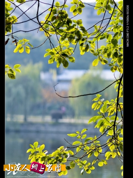 DSC_8901.jpg