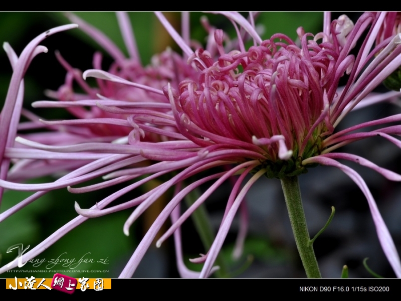 DSC_8953.jpg