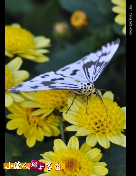 DSC_8965.jpg