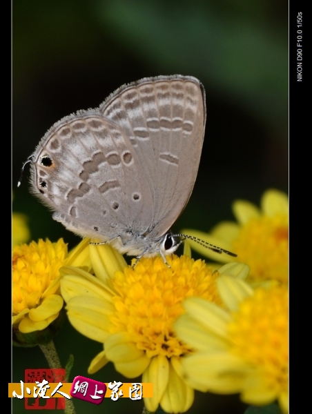 DSC_8997.jpg