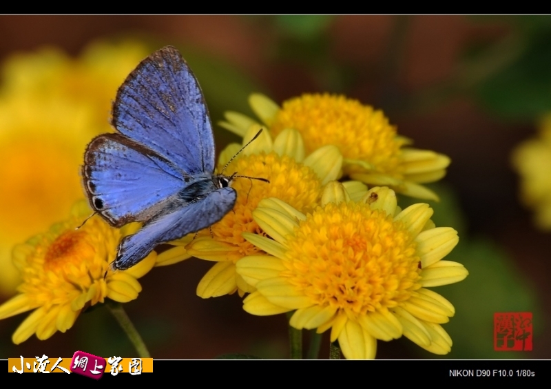 DSC_8999.jpg