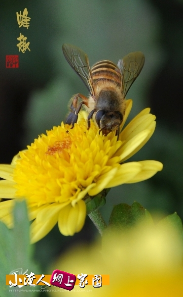 DSC_9019.jpg