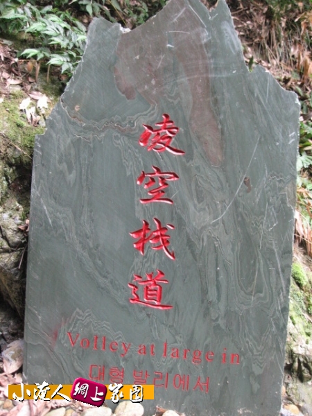 IMG_6715.jpg