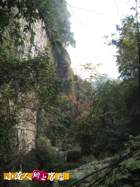 IMG_6758.jpg