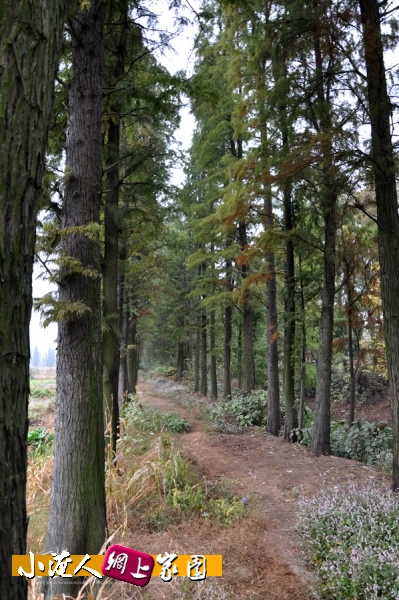 DSC_9087.jpg