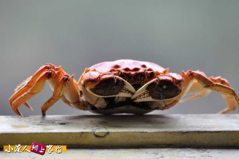 DSC_9133.jpg