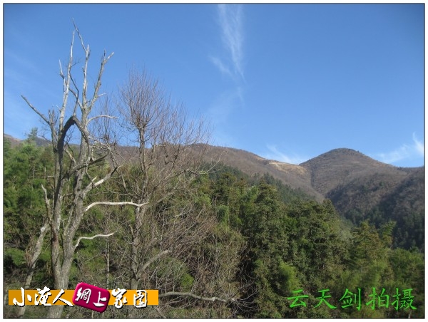 conew_img_7179.jpg