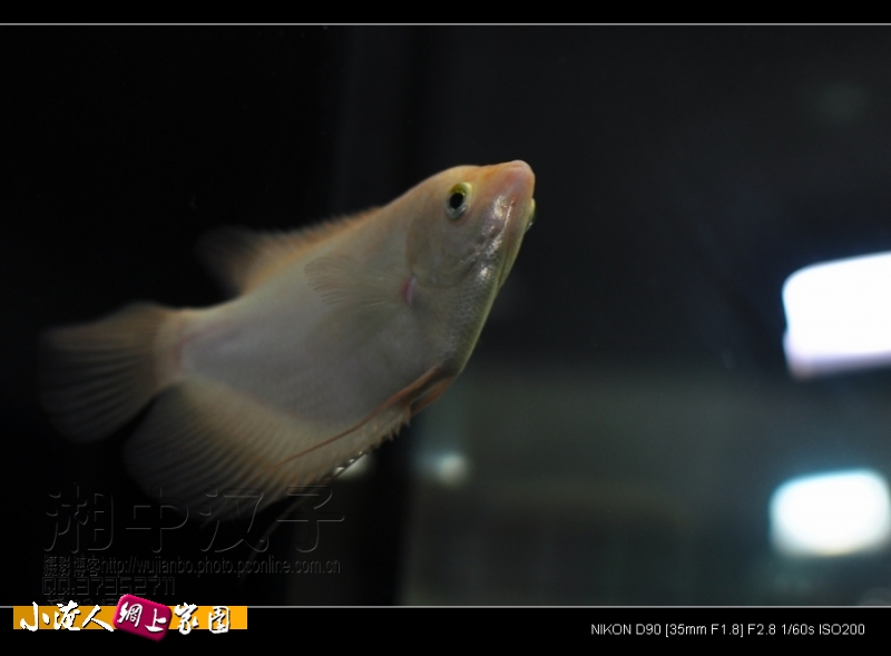 DSC_1888.JPG