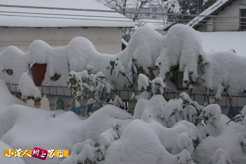 DSC03059_conew1.jpg