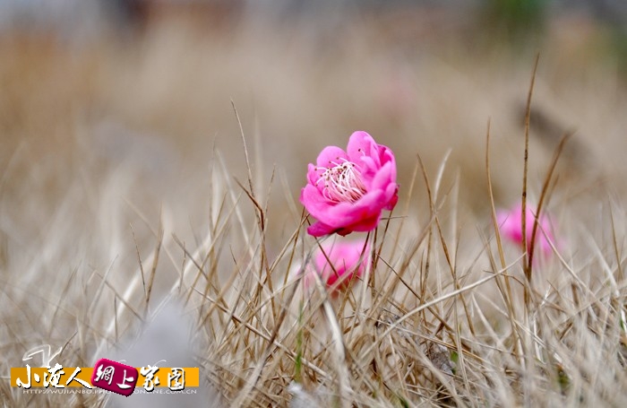 DSC_5732.jpg