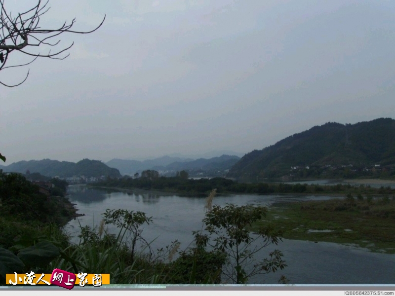 鲇鱼洲