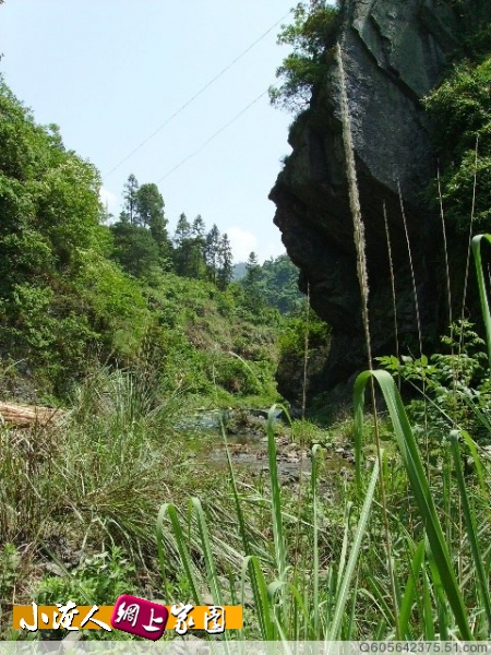 芳草山石清泉