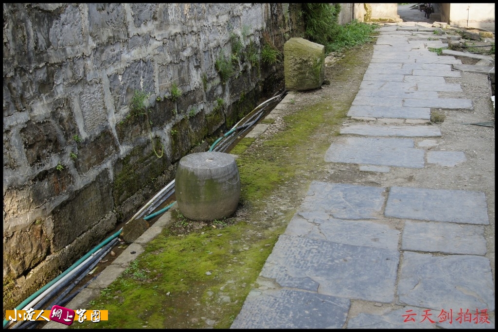 conew_dsc00650[1].jpg