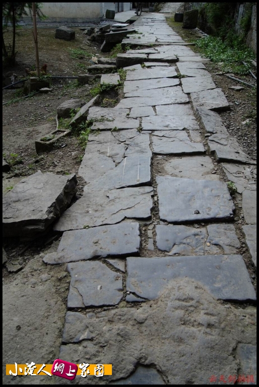 conew_dsc00659[1].jpg
