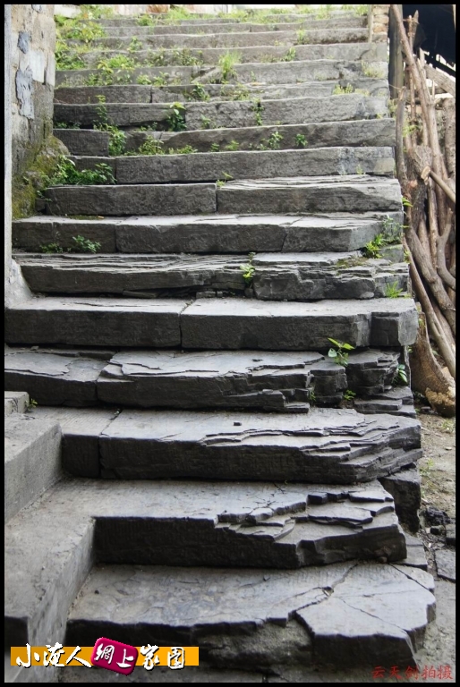 conew_dsc00662[1].jpg