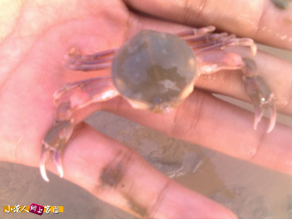 龙族灿作品405.jpg