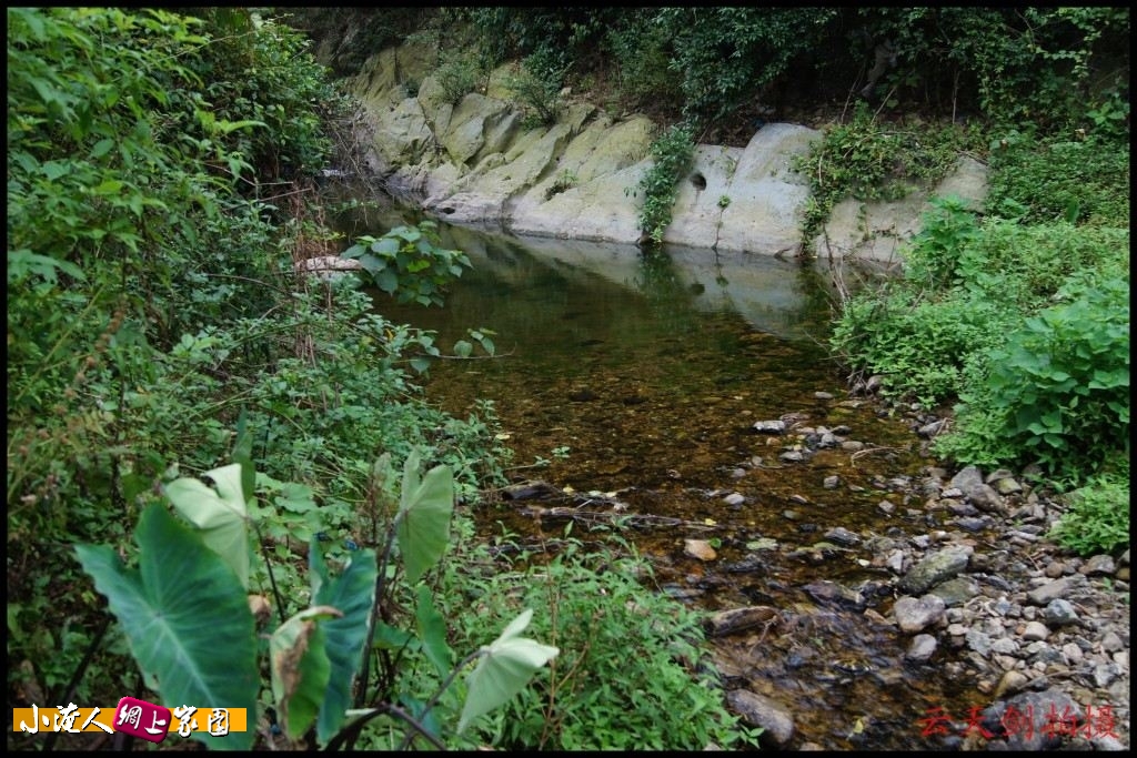 conew_dsc00710_conew1.jpg