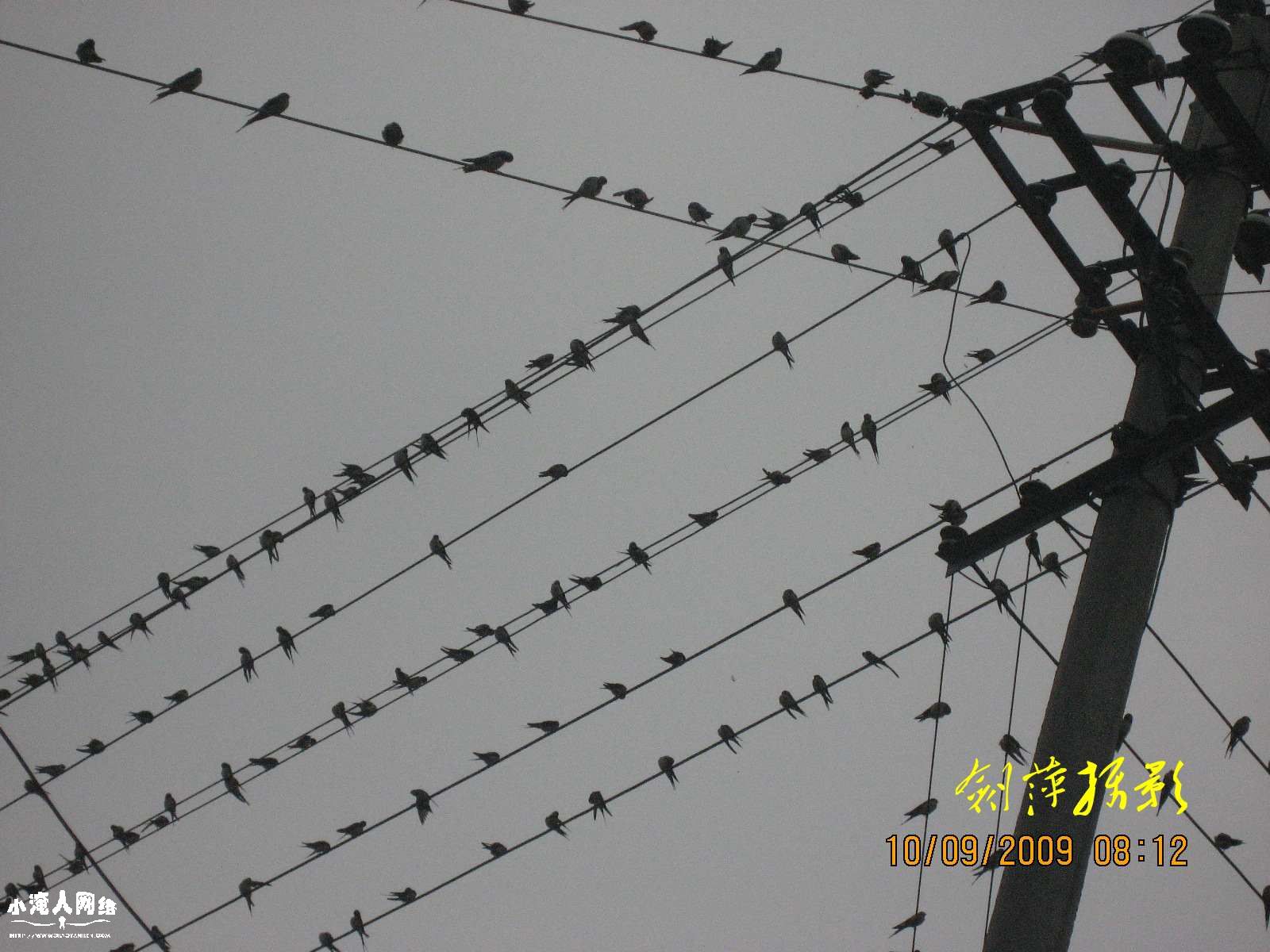 照片 070_conew1.jpg