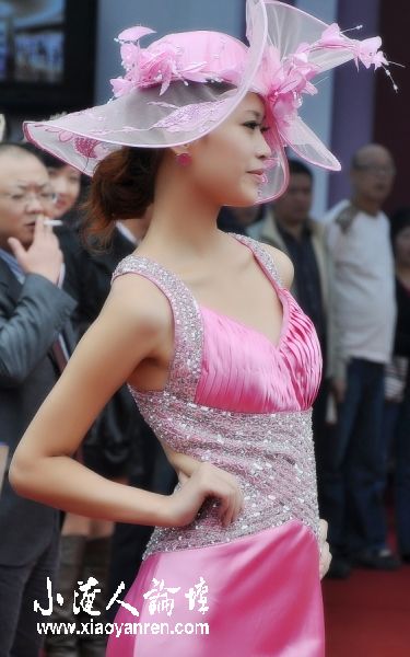 DSC_2095.jpg