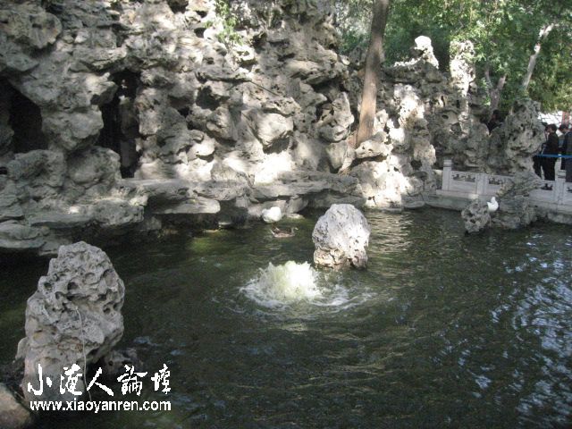 照片 539.jpg