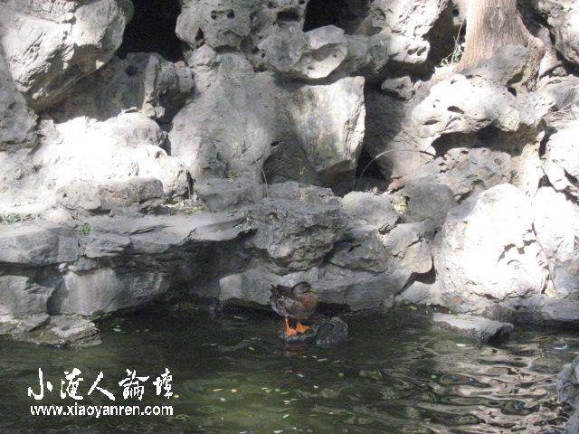 照片 541.jpg