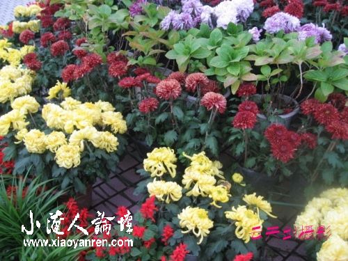 http_imgloadCA22V6RQ_conew1.jpg