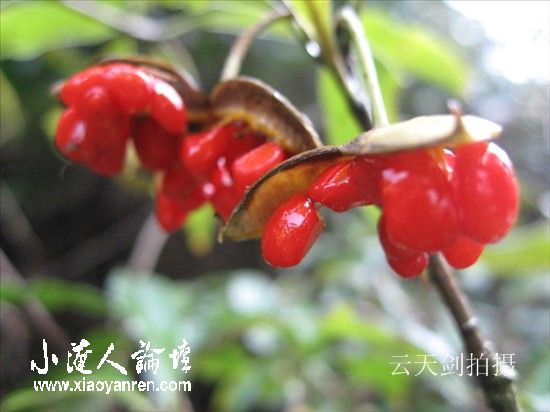 照片 091_副本.jpg
