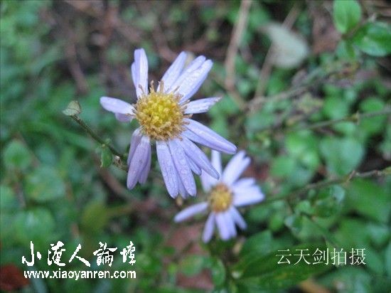 照片 058_副本.jpg