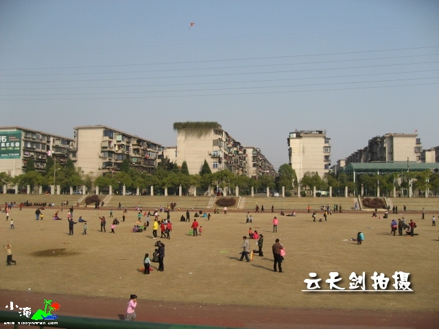 照片 048_conew1.jpg