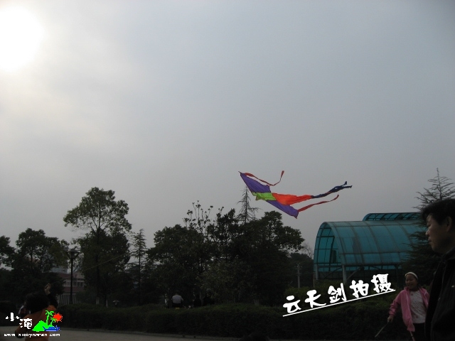 照片 d021_conew1.jpg