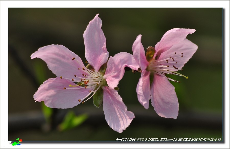 DSC_6565.jpg