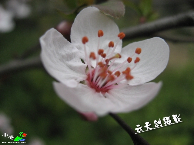 IMG_0263_conew1.jpg