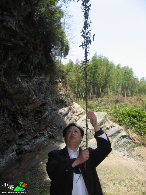 照片 095.jpg