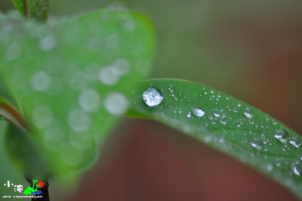 DSC_7707.jpg