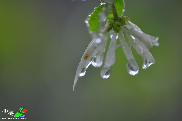 DSC_7715.jpg