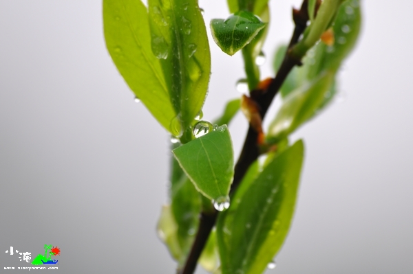 DSC_7699.jpg