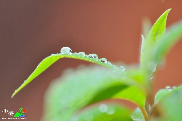 DSC_7709.jpg