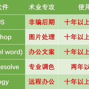 精通符合商业运营需求的技能水平及各类技能软件的操作。
